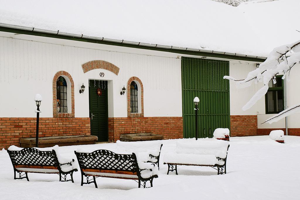 Florian Vendeghaz Guest House Villánykövesd Exterior foto